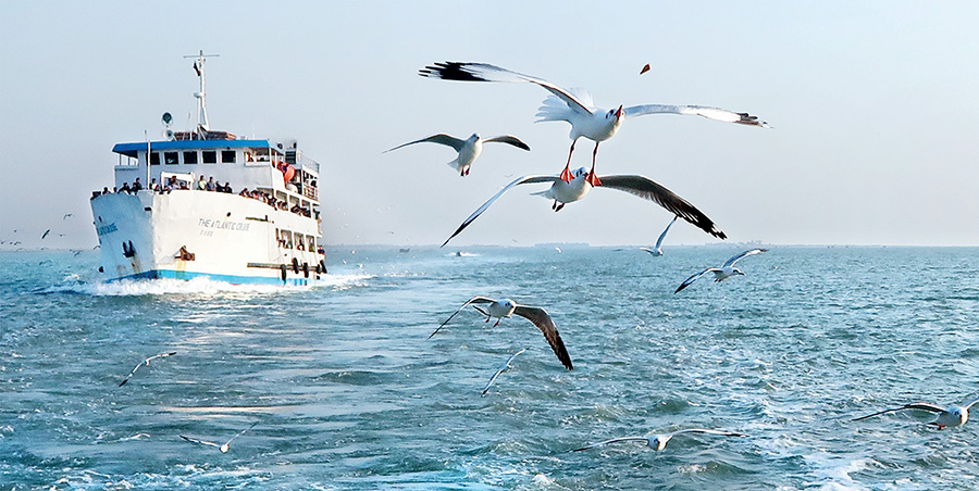 Scenic beauty of Saint Martin Island in Bangladesh